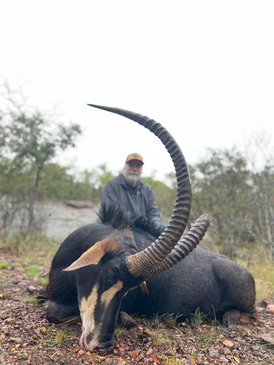 Hunting Image 2